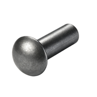 Rivets aveugles ronds en acier inoxydable poli, plaqués zinc, tailles personnalisées, rivets industriels, attaches