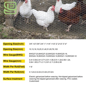Lưới song phương hàng rào dây lưới mạ kẽm uốn lưới lục giác gà dây lưới mạ kẽm nhúng nóng dây 5 10 25 50 100 - Product Image 2