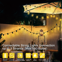 Guirlande lumineuse LED pour l'extérieur Edison Bulb Globe Waterproof Connectable Serial Christmas Wedding Decoration Festive Garden Lighting