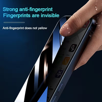 Protection d'écran en verre trempé anti-espionnage haut de gamme 9H 2.5D plat anti-rayures pour iPhone 12 13 14 15 16 17 Pro Max