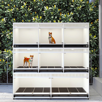 Chenil pour chien commercial extérieur, grande maison pour chien avec panneaux en bois, conçu pour une utilisation intensive et pour les entreprises d'hébergement pour chiens