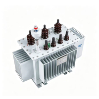 Transformateur à huile SW (B) 13-M 50-630 kVA, résistant aux surcharges à haute température, pour les fortes fluctuations de charge et les pics de surtension des vacances, personnalisable