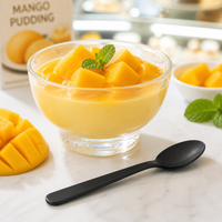 Cuillère à Parfait Noire Mate 160mm, Ustensile de Dessert en Plastique Jetable à Long Manche, Vente en Gros pour Banquets et Fêtes
