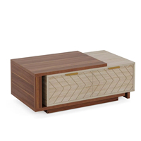Table basse haut de gamme Design moderne de meubles de maison de qualité portable en gros de Chine