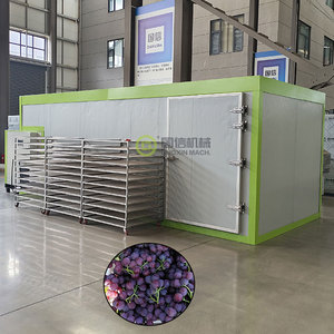 Equipo de Secado de Frutas con Bomba de Calor, Máquina Secadora de Uvas, Máquina Secadora de Aceitunas - Product Image 1