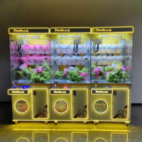 Machine à griffes mini pour jeux d'arcade, à monnayeur, attrape-peluches