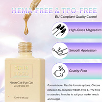 Kit professionnel de vernis gel œil de chat 8 couleurs, sans HEMA ni TPO, vernis à ongles diamanté scintillant magnétique UV pour salon OEM