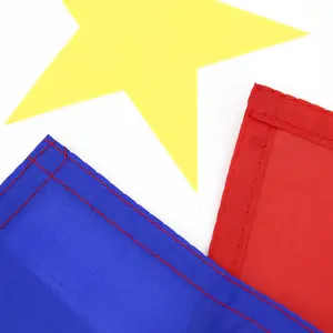 Zuidoost-Azië Filipijnen 90*150Cm Zeefdrukte Vlag