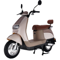 Moto électrique certifiée EEC pour adultes, deux roues, batterie lithium-plomb-acide, homologuée pour la route en UE, scooter électrique
