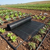 Toile de paillage anti-mauvaises herbes pour ferme, film plastique noir, couverture de sol tissée en PP