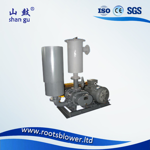 Bomba de Vacío Roots para Envasado al Vacío de Alimentos, Diseño Compacto, Bajo Mantenimiento, Construcción Sanitaria para Procesamiento de Alimentos - Product Image 1