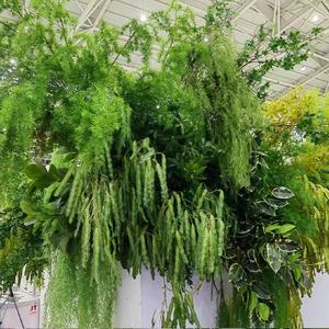 Plantas Artificiales <span class=keywords><strong>de</strong></span> la Serie Verde para Decoración <span class=keywords><strong>de</strong></span> Bodas, Hogar y Exteriores con Hierba Barba <span class=keywords><strong>de</strong></span> <span class=keywords><strong>Dragón</strong></span> y Hierba <span class=keywords><strong>de</strong></span> Caña - Product Image 1