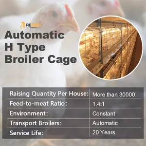 3層4層Hタイプモダンデザインブロイラー養鶏場自動チキンブロイラーケージシステム