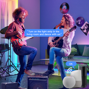 Zemismart Tuya Zigbee Driver 5M 10M Bande lumineuse LED RGBW Flexible Rétroéclairage <span class=keywords><strong>TV</strong></span> Sans fil Décoration intérieure Fonctionne avec M6 Hub <span class=keywords><strong>HomeKit</strong></span> - Product Image 5