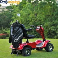 Scooter électrique de golf Dailymoving populaire 24V 1200W avec moteur Linix, carrosserie ouverte pour passagers et double suspension à ressorts