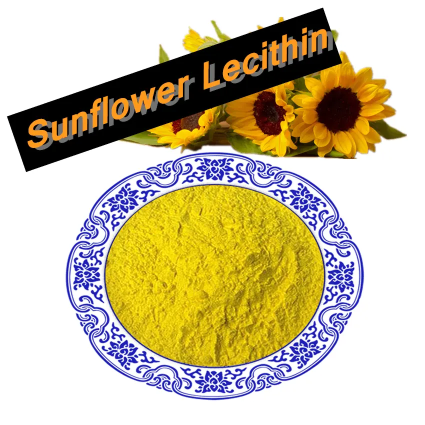 Lécithine de tournesol biologique E322 de qualité supérieure additif alimentaire en poudre pure lécithine de tournesol