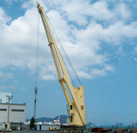 Grue de pont marine hydraulique télescopique et à bras droit, prix compétitif, 8 tonnes, pour bateaux – Meilleure vente