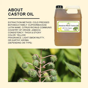 Commercio all'ingrosso della fabbrica puro essenziale Jamaican nero olio di ricino estratto vegetale Private Label all'ingrosso prezzi alla rinfusa - Product Image 2