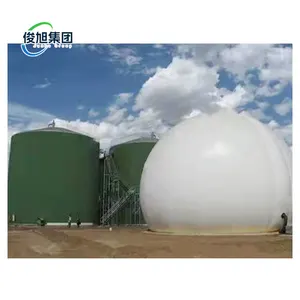 Biogas desulfurization_ Manufacturer direct sales_ High quality and affordable price