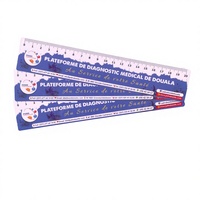 Règle en PVC pour étudiants, motif dessin animé mignon, avec logo personnalisé, impression sérigraphique, design tendance, pour la production publicitaire de papeterie