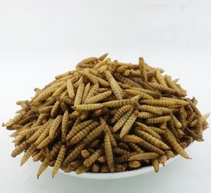 Alimento de larvas de alta proteína, larvas de mosca soldado negra secas, gusanos secos - Product Image 2
