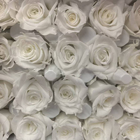 Roses éternelles miniatures, rose nacré, 1-2 cm, 24 pièces, 21 pièces 2-3 cm, qualité supérieure, roses éternelles multicolores, cadeau de fleurs naturelles pour elle