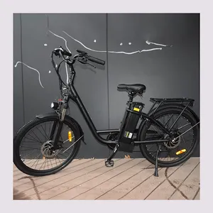 จักรยานไฟฟ้าสำหรับผู้หญิงใช้ในเมืองสำหรับครอบครัว Raidercity-264