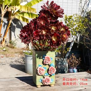 Old Trunk <span class=keywords><strong>Cliff</strong></span> Like Trunk High Trunk Maceta para flores suculentas - Product Image 5