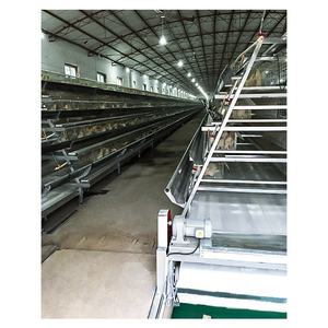 Zhuoyi A-Tipi 3/4 Katlı Tavuk Kafesi Yeni PVC+ABS Malzeme Otomatik Sistem 96/120/120/160 Kuş Kapasiteli Alt Yumurta Uzunluğu - Product Image 3