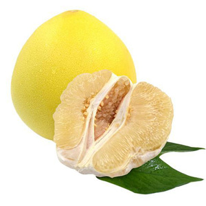 888 Camions de transport de fruits importés avec dédouanement et logistique à chaîne du froid, fret international, origine Chine - Product Image 4