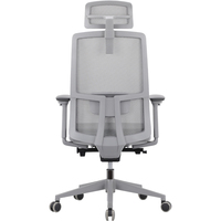 Chaise de bureau ergonomique moderne en maille avec soutien lombaire réglable et accoudoirs 4D – Personnalisation de mobilier de bureau