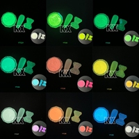 Glow in the Dark Party Supplies Glow in the Black Light Dark Face Body Paint Neon Fluorescent Phosphorescent Glow Powder