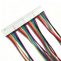 Cableado de Plástico de la Serie PH de 2.0 mm, Macho y Hembra, Cable Conector Multifilar con Código de Color para Equipos Inteligentes y LED