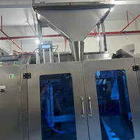 Nouvelle machine d'emballage automatique de haute qualité pour sachets à fermeture éclair Doypack mini pour viande séchée 2026