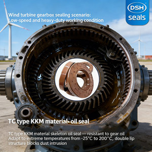 Sellos hidráulicos de caucho FKM HNBR NBR, tipo TC de doble labio, para perforación y producción de petróleo y gas, alta temperatura y alta presión - Product Image 4