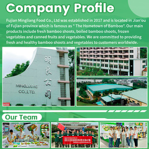 Tốt nhất bán cao Dinh dưỡng đóng hộp Nấm Ming Liang thương hiệu Trung Quốc nhà sản xuất ngon toàn bộ/Miếng bảo quản Muối OEM/ODM - Product Image 6