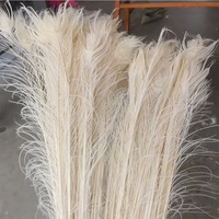 Plume de paon blanche naturelle teintée pour fête, carnaval, centre de table de mariage, vase de Noël, décoration de vacances, artisanat DIY, arrangement floral