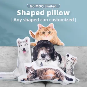Cartoon Anime Design Customized Irregular Shaped Pillow Printed Cushion Throw Pillows As Gift Cat Pillow