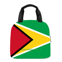 Sac à déjeuner isotherme avec drapeau réplique de la République Dominicaine, parfait pour les enfants, la maternelle, l'école, le travail, les voyages, les pique-niques, facile à transporter, unisexe