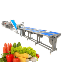 Groente & Fruit Processing Machines Salade Groente Productielijn Quick Bevriezing Verwerking Machine