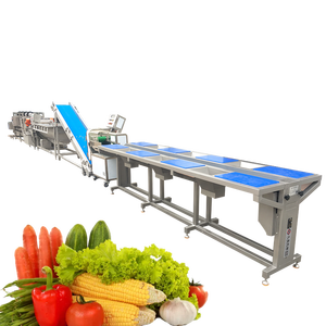 Maquinaria para el Procesamiento de Frutas y Verduras, Línea de Producción de Ensaladas de Verduras, Máquina de Procesamiento de Congelación Rápida - Product Image 1