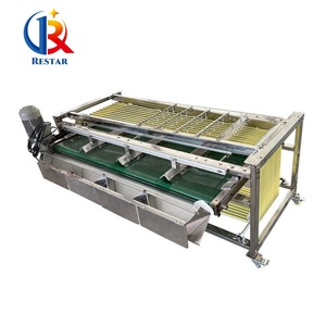 Máquina clasificadora automática de manzanas de alta eficiencia con clasificación de tamaño de precisión, ideal para el procesamiento postcosecha de huertos - Product Image 5