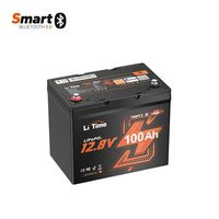 Baterai LiTime 12V 100Ah Group24 LiFePO4 dengan Bluetooth dan Proteksi Suhu Rendah untuk RV, Motor Trolling Kapal, dan Sistem Tenaga Surya