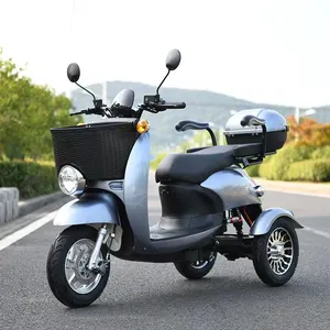 Fornecimento de fábrica 48V1000w triciclo elétrico pequeno motorizado scooter de mobilidade para 2 pessoas de 3 rodas