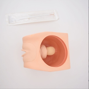 Modelo avanzado de Anatomía Humana anticonceptiva femenina, simulación de habilidades maternas, entrenamiento de ciencia médica, modelo de anticoncepción femenina - Product Image 1