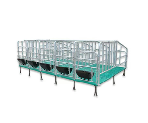 Vendita calda calda galvanizzata casse di gestazione del maiale maiale gabbie di gestazione per gli animali - Product Image 3