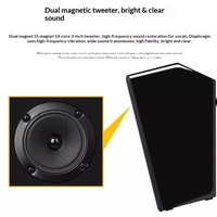 SHILE BG-8 Kit Audio Profesional Mini untuk Ruang Rapat OK-555C Kombinasi untuk Speaker Musik Latar Belakang Ruang Tamu