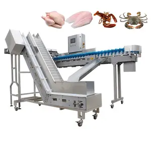 plastic tray chicken duck poultry slaughtering processing belt weighing sorting machine for small scale slaughtering house