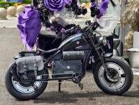 Vélo électrique urbain 3000W - Cadre en alliage d'aluminium, moteur sans balais 7 vitesses, capteur et fonctions numériques