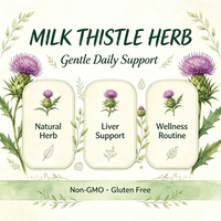 Complément alimentaire naturel à base de curcuma et de gingembre, capsules avec gingembre noir et poivre noir, complément nutritionnel quotidien pour adultes à base de plantes